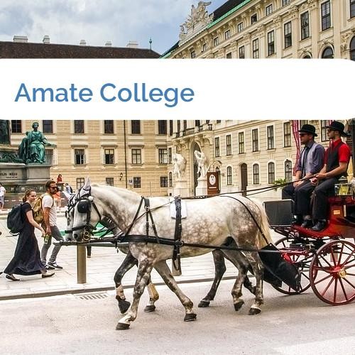 Bild Amate College