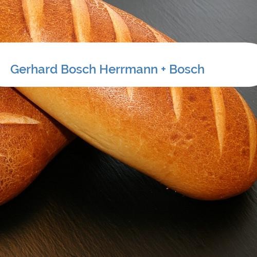 Bild Gerhard Bosch Herrmann + Bosch