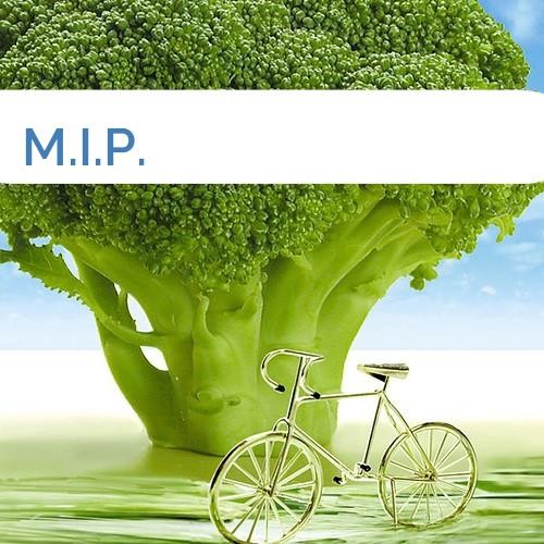 Bild M.I.P.