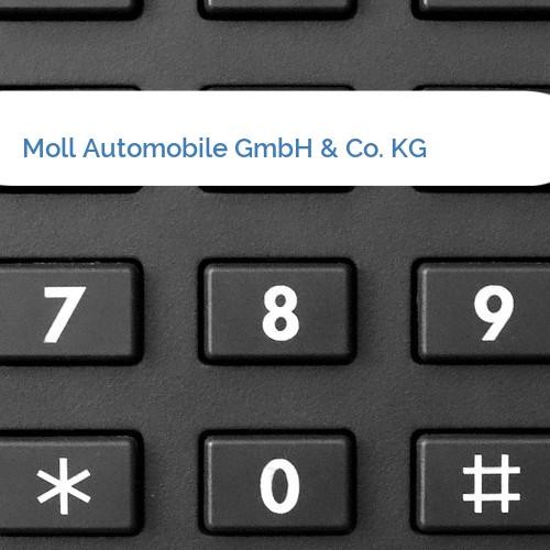 Bild Moll Automobile GmbH & Co. KG