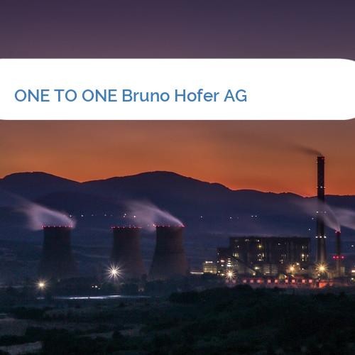 Bild ONE TO ONE Bruno Hofer AG