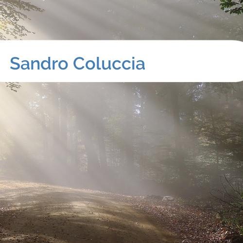 Bild Sandro Coluccia