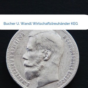 Bild Bucher U. Wandl Wirtschaftstreuhänder KEG mittel
