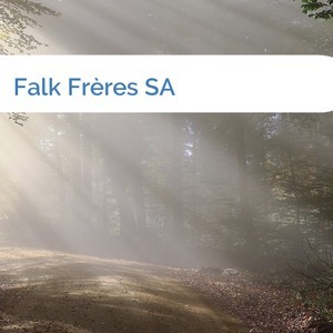 Bild Falk Frères SA mittel