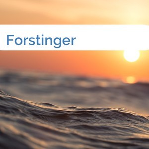 Bild Forstinger mittel