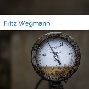 Bild Fritz Wegmann mittel