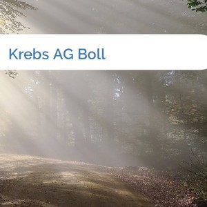 Bild Krebs AG Boll mittel