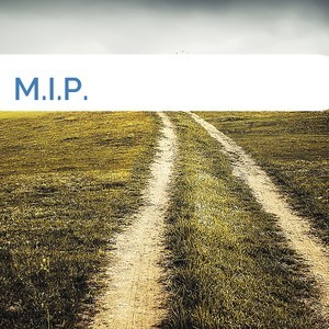 Bild M.I.P. mittel