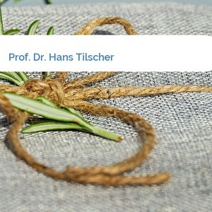Bild Prof. Dr. Hans Tilscher mittel