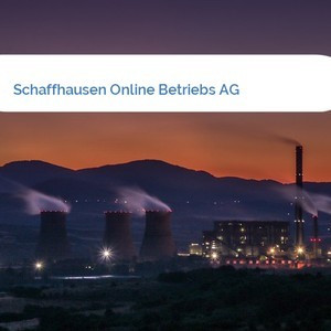 Bild Schaffhausen Online Betriebs AG mittel