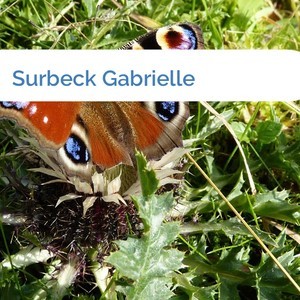 Bild Surbeck Gabrielle mittel