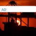 Bild AD