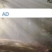 Bild AD