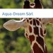 Bild Aqua-Dream Sàrl