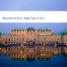 Bild Blumen b & b r. Bigl Ges.m.b.h.