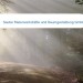 Bild Sauter Malerwerkstätte und Raumgestaltung GmbH