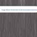 Bild Vaags Music Productions & Kommunikationsberatung