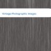 Bild Vintege Photographic Images