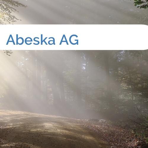 Bild Abeska AG