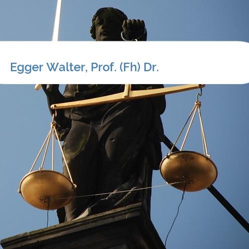 Bild Egger Walter, Prof. (Fh) Dr.