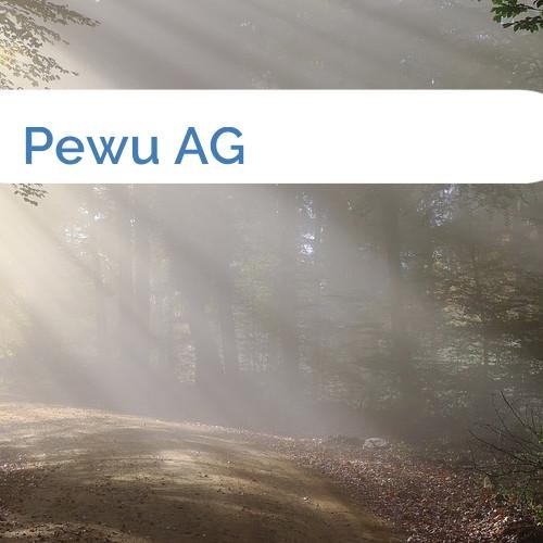 Bild Pewu AG