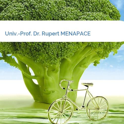 Bild Univ.-Prof. Dr. Rupert MENAPACE