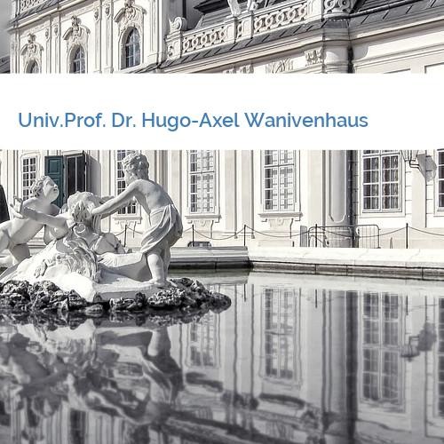 Bild Univ.Prof. Dr. Hugo-Axel Wanivenhaus
