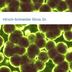 Bild Hirsch-Schneider Silvia, Dr. mittel