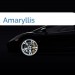 Bild Amaryllis