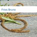 Bild Fries Bruno