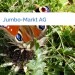 Bild Jumbo-Markt AG