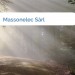 Bild Massonelec Sàrl