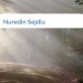 Bild Nuredin Sejdiu