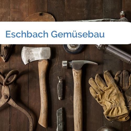 Bild Eschbach Gemüsebau