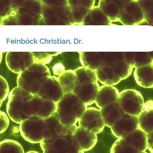 Bild Feinböck Christian, Dr.