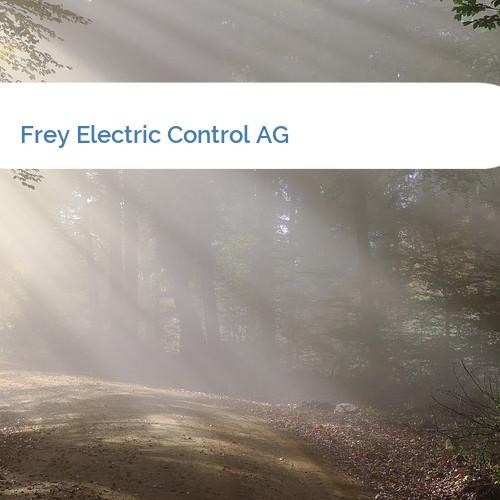 Bild Frey Electric Control AG