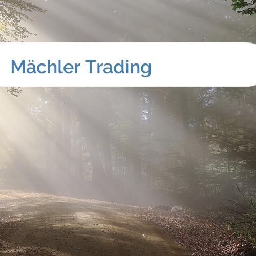 Bild Mächler Trading