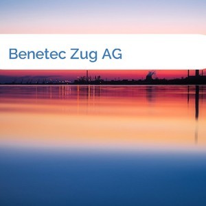 Bild Benetec Zug AG mittel