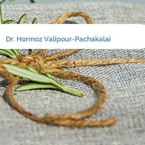 Bild Dr. Hormoz Valipour-Pachakalai mittel