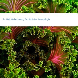 Bild Dr. Med. Marlies Herzog Fachärztin Für Dermatologie mittel