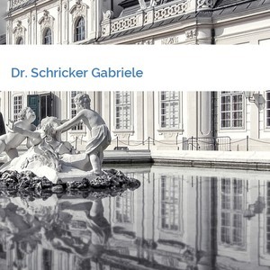 Bild Dr. Schricker Gabriele mittel