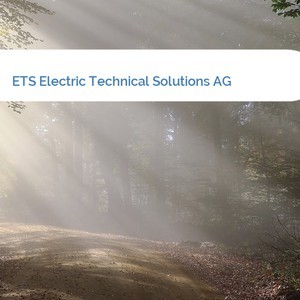 Bild ETS Electric Technical Solutions AG mittel