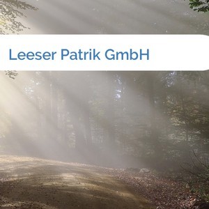 Bild Leeser Patrik GmbH mittel