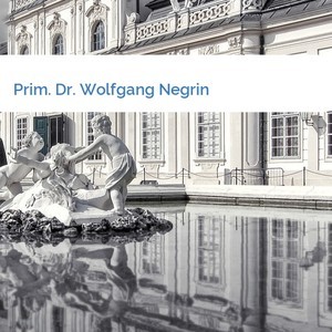 Bild Prim. Dr. Wolfgang Negrin mittel
