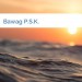 Bild Bawag P.S.K.
