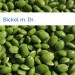 Bild Bickel m. Dr.