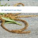 Bild Dr. Gerhard Franz Mayr