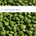 Bild Dr. med. Gregory Weisz