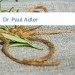 Bild Dr. Paul Adler