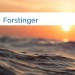 Bild Forstinger